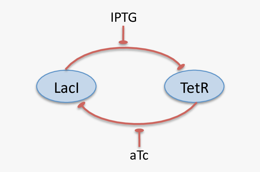 Diagram, HD Png Download, Free Download