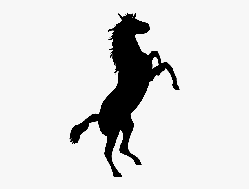 Horse Bronco Stallion Bronc Riding Clip Art - Animal Silhouettes Horse, HD Png Download, Free Download