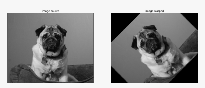 Images/warp Affine 4 1 - Pug, HD Png Download, Free Download