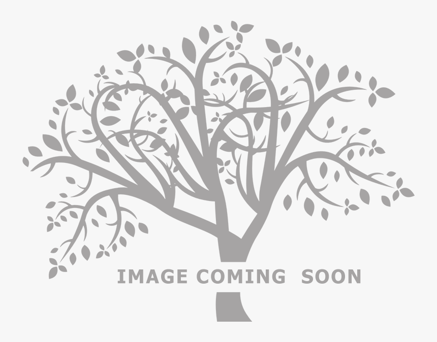 Family Tree Vector Png, Transparent Png, Free Download