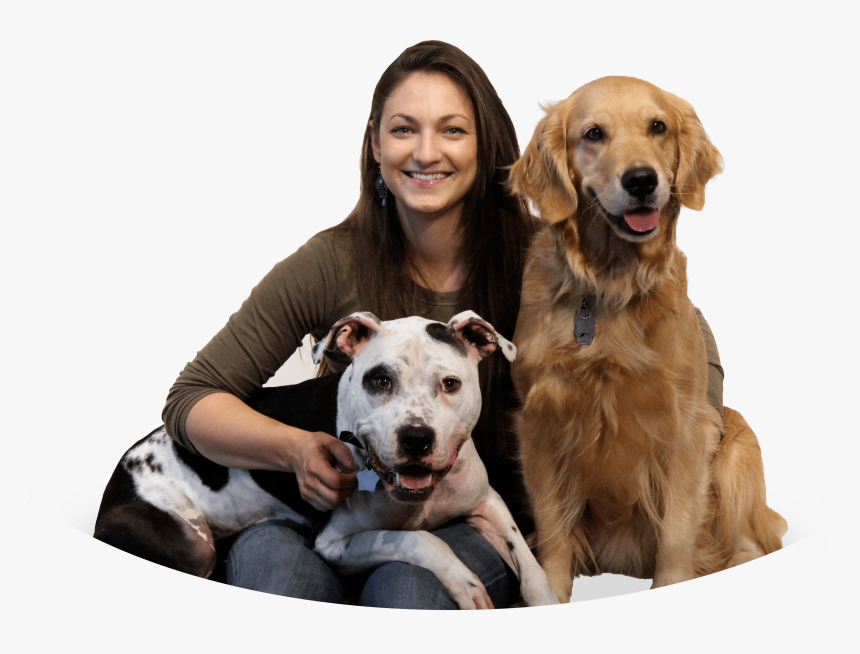 Dog Catches Something, HD Png Download, Free Download