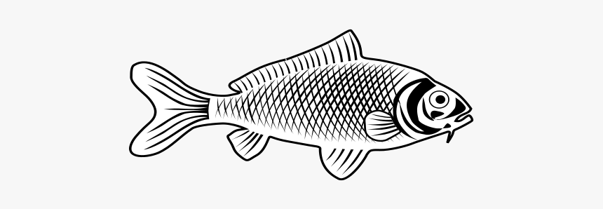 Fish Svg Clip Arts - Carp, HD Png Download, Free Download