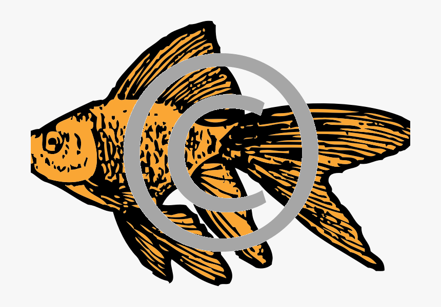 Goldfish Clip Art, HD Png Download, Free Download