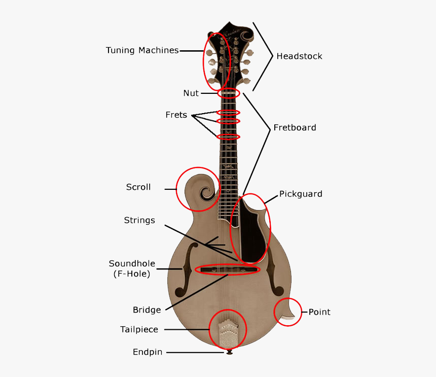 Parts Of A Mandolin, HD Png Download, Free Download