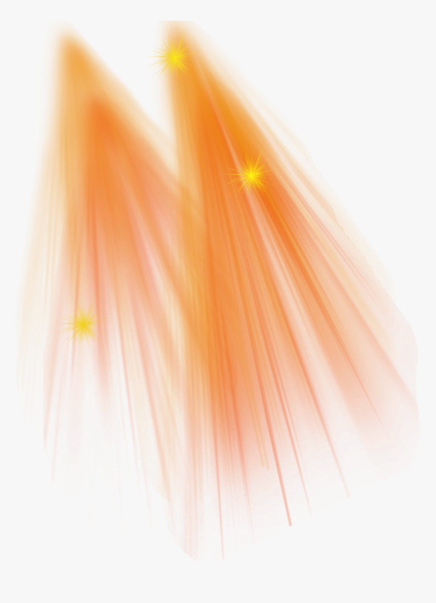 Transparent Blast Png - Macro Photography, Png Download, Free Download