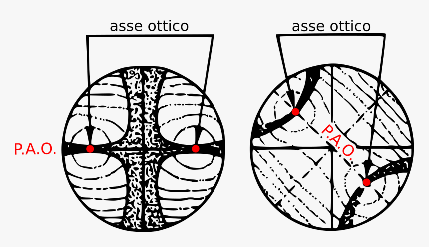 Figuras De Interferencia Biaxicas, HD Png Download, Free Download