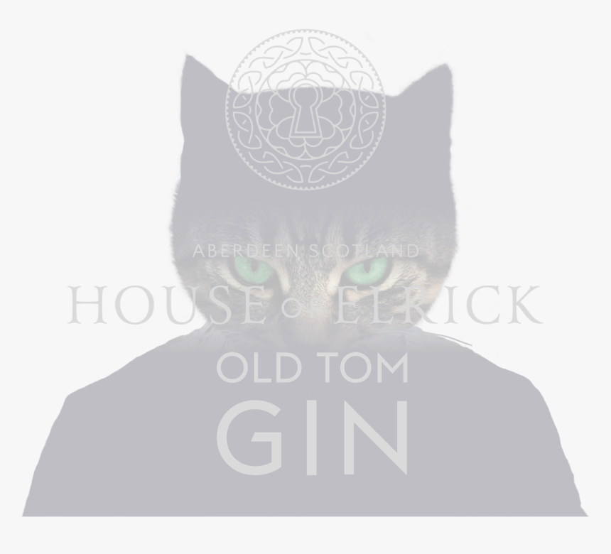 Transparent Old Banner Png - Black Cat, Png Download, Free Download