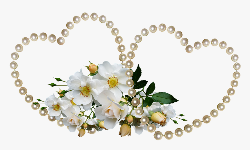 San Valentín, Rosas Blancas, El Amor, Celebración - Different Design Patterns, HD Png Download, Free Download