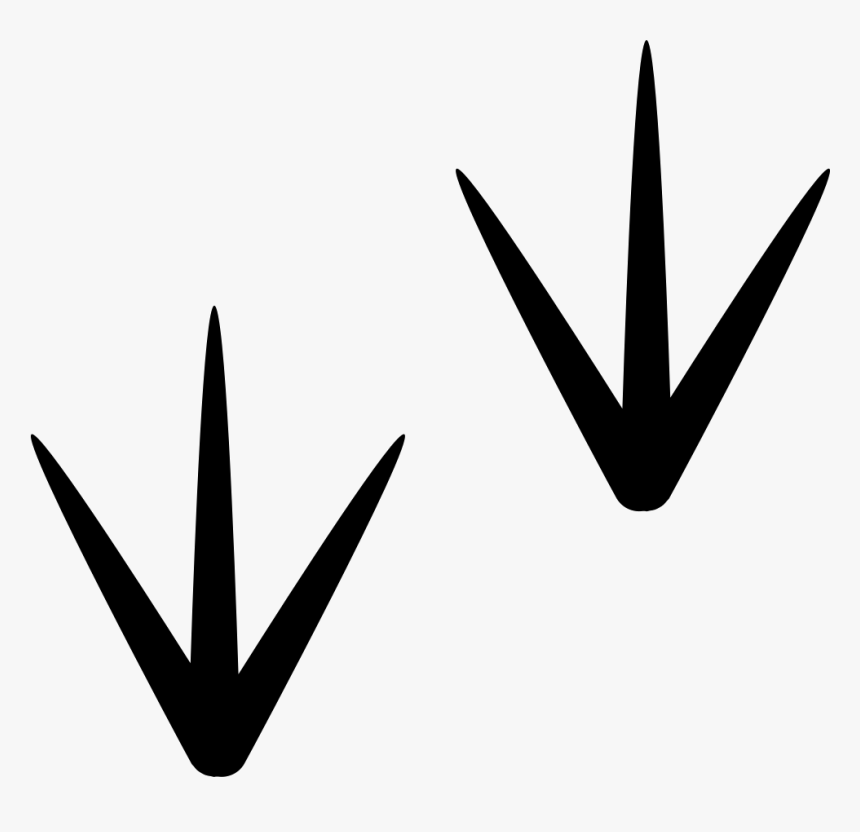 Bird - Bird Foot Icon Png, Transparent Png, Free Download