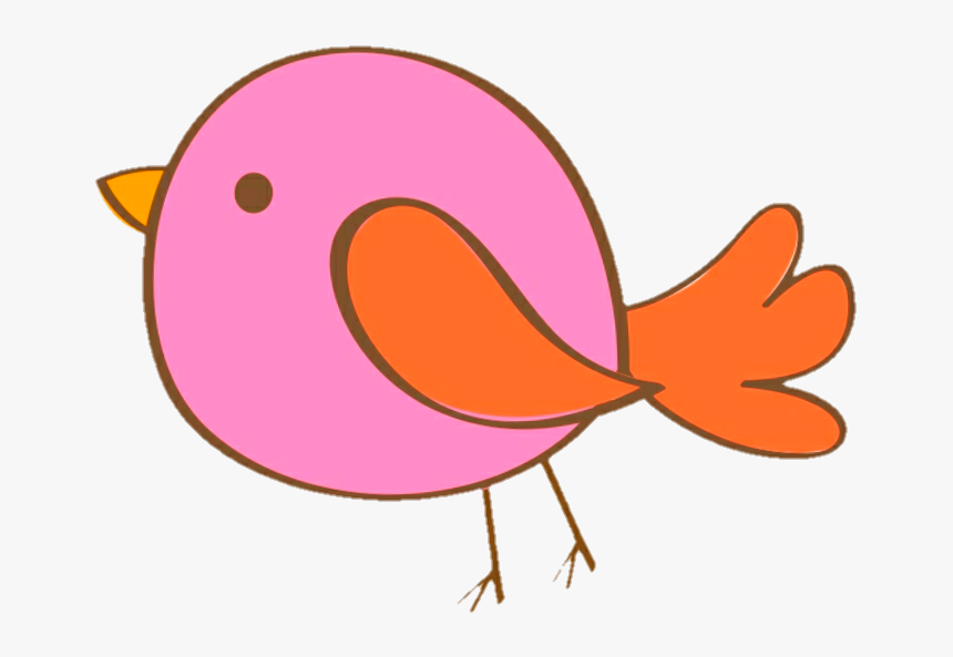 #bird #birdie #passaro #passarinho #🐦, HD Png Download, Free Download