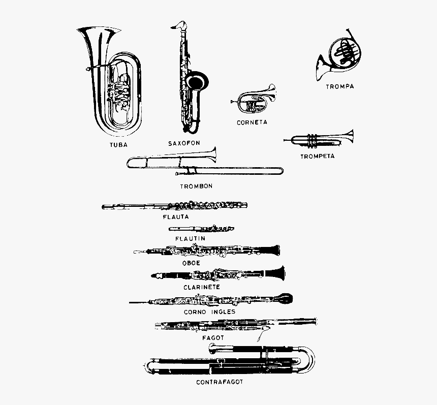 Brass Instrument, HD Png Download, Free Download