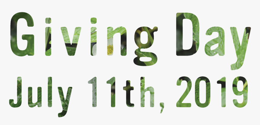 Giving Day Banner - Calligraphy, HD Png Download, Free Download