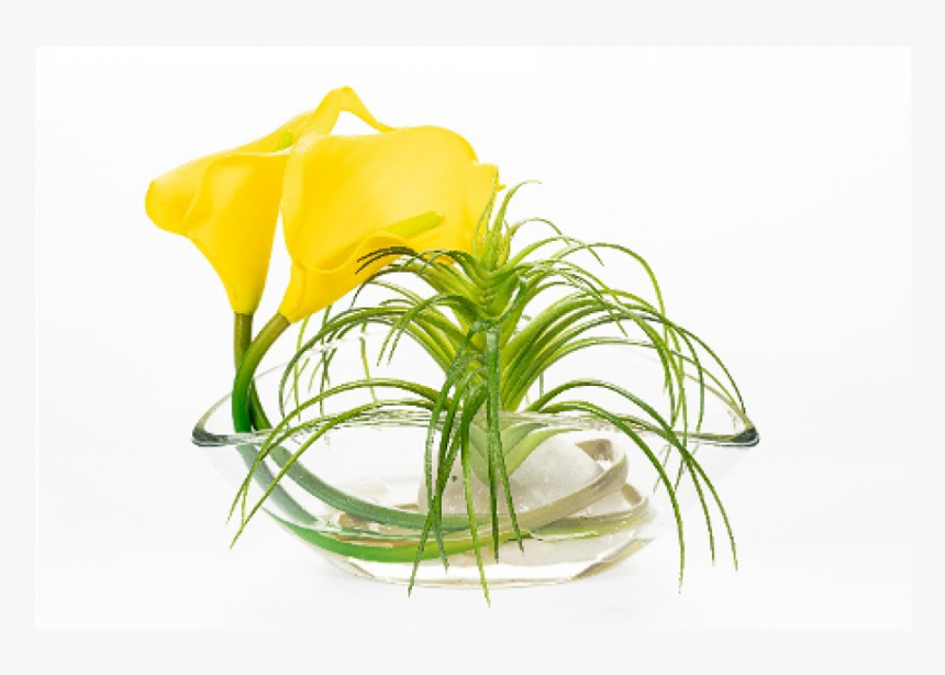 Flor De Cala Color Amarillo Y Tillandsia - Anthurium, HD Png Download, Free Download