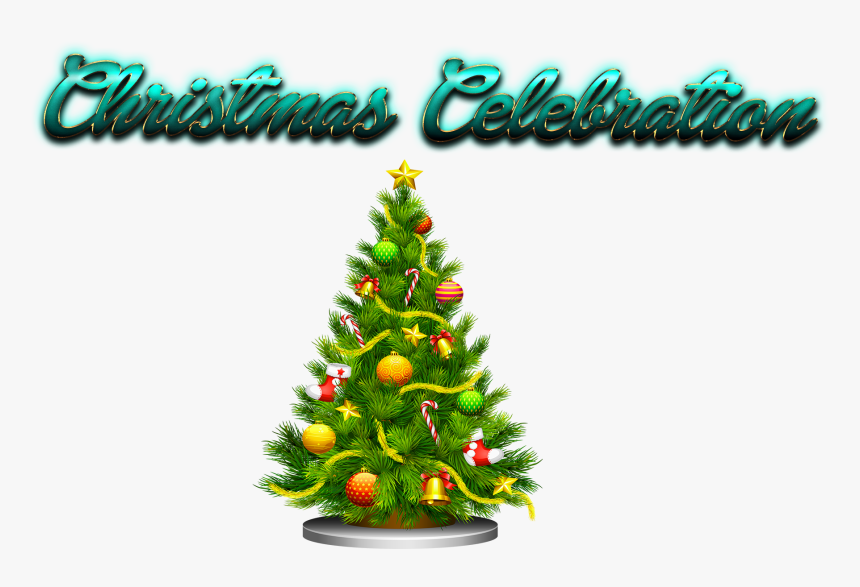 Transparent Celebration Png - Christmas Tree Png Transparent, Png Download, Free Download