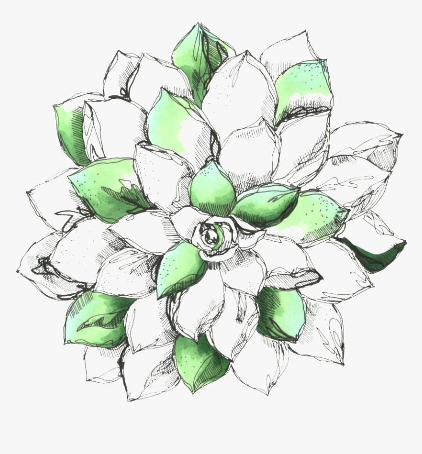 Hand Drawn Flower, HD Png Download, Free Download