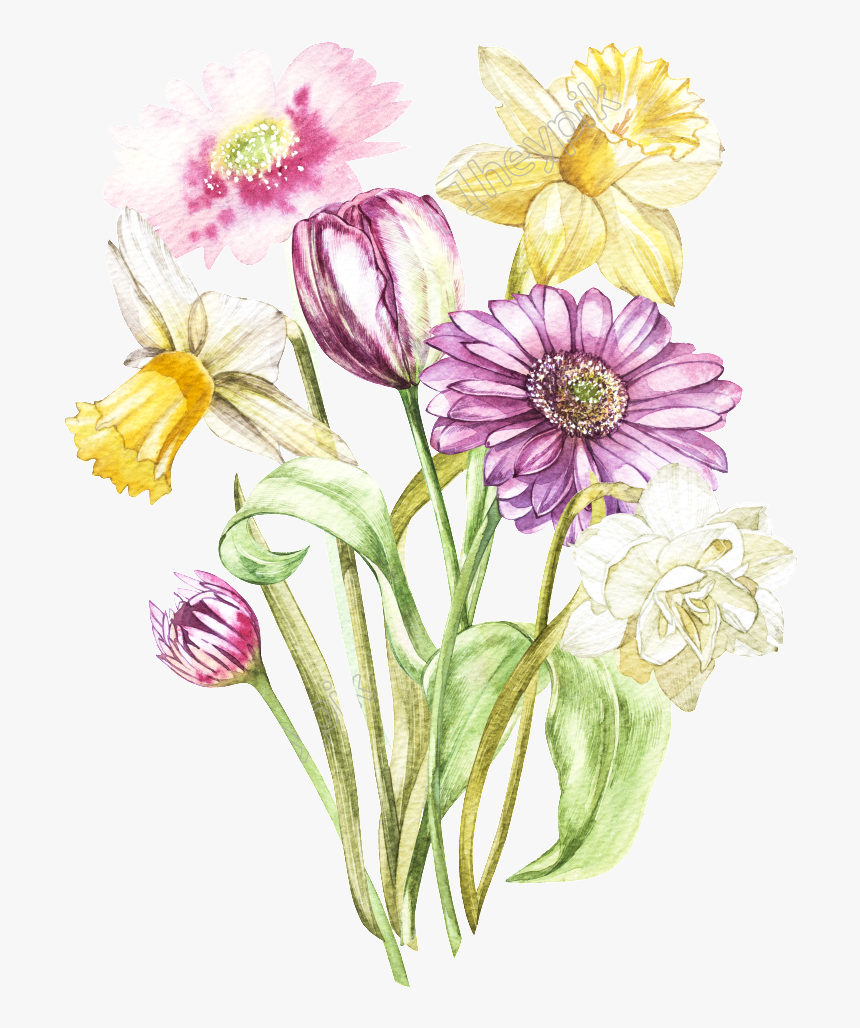 Drawn Flower Transparent - Colorful Flowers Png Drawing, Png Download, Free Download