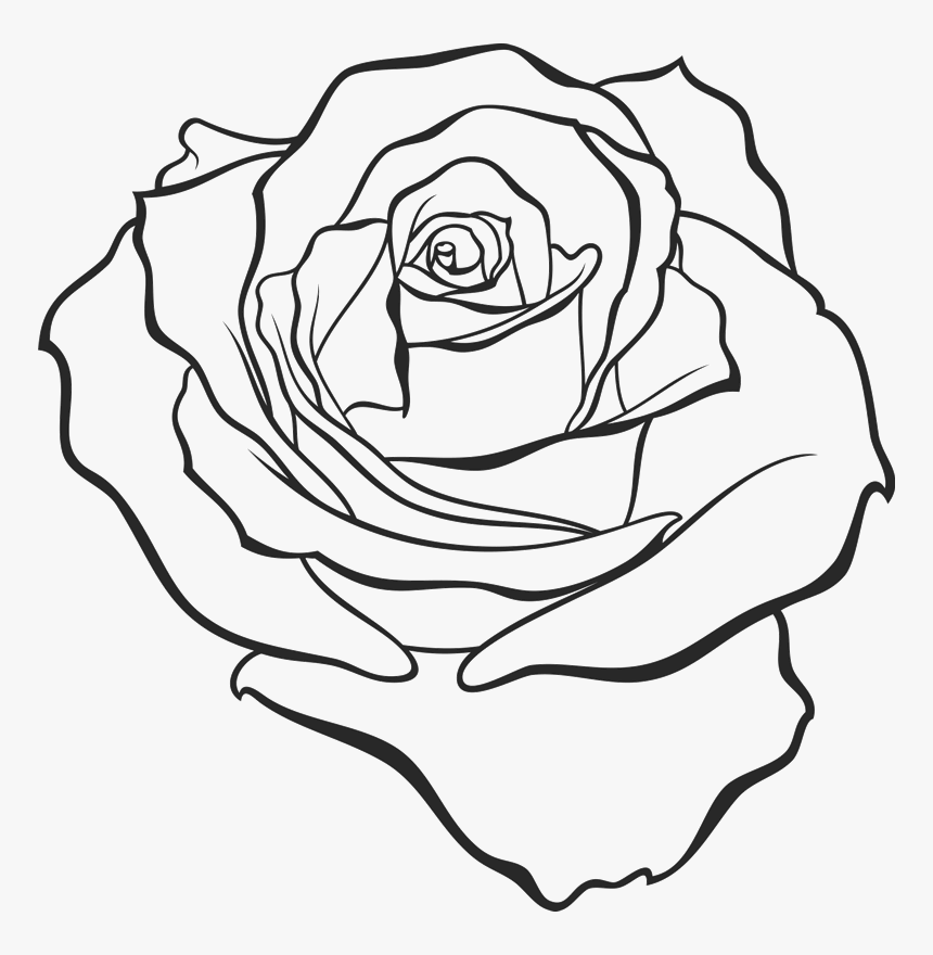 Transparent Drawn Rose, HD Png Download, Free Download