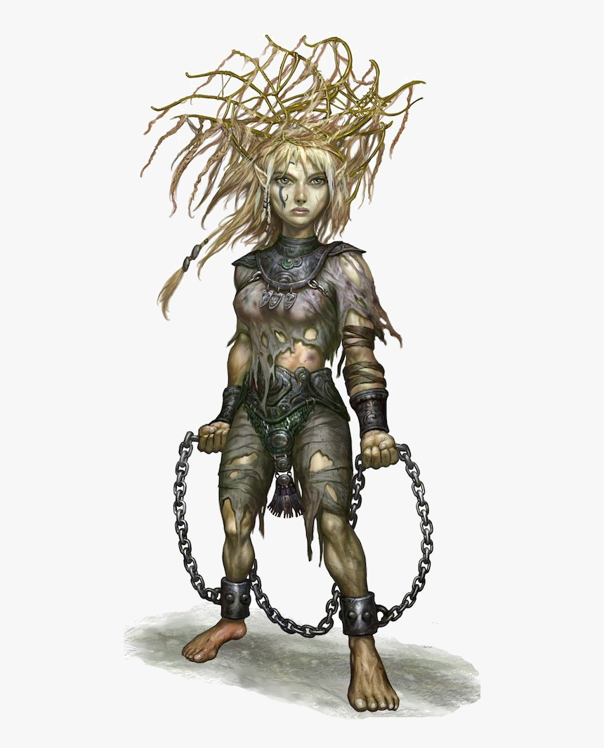 #dwarf #halfling #fantasycharacter #videogames #fantasyart - Fantasy Art Halfling Druid, HD Png Download, Free Download