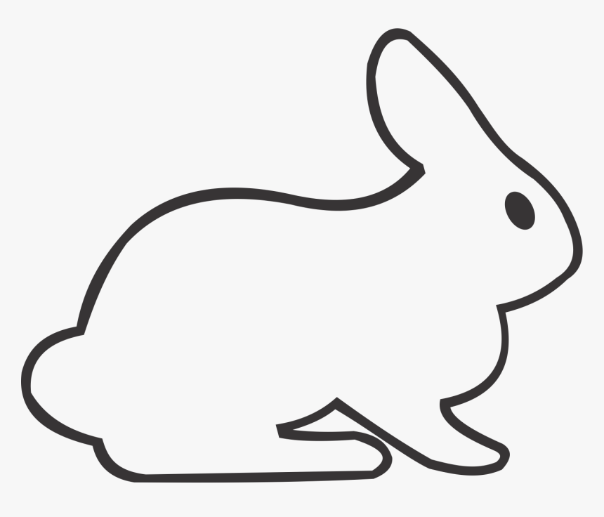 Rabbit, HD Png Download, Free Download