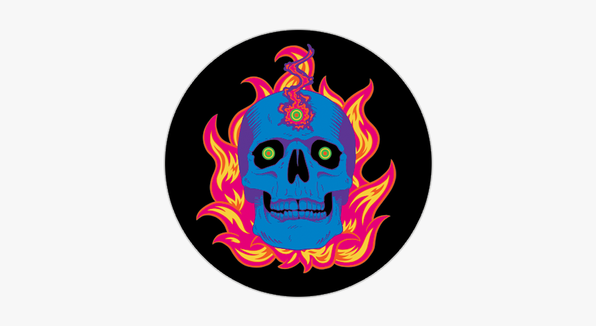 Skull, HD Png Download, Free Download