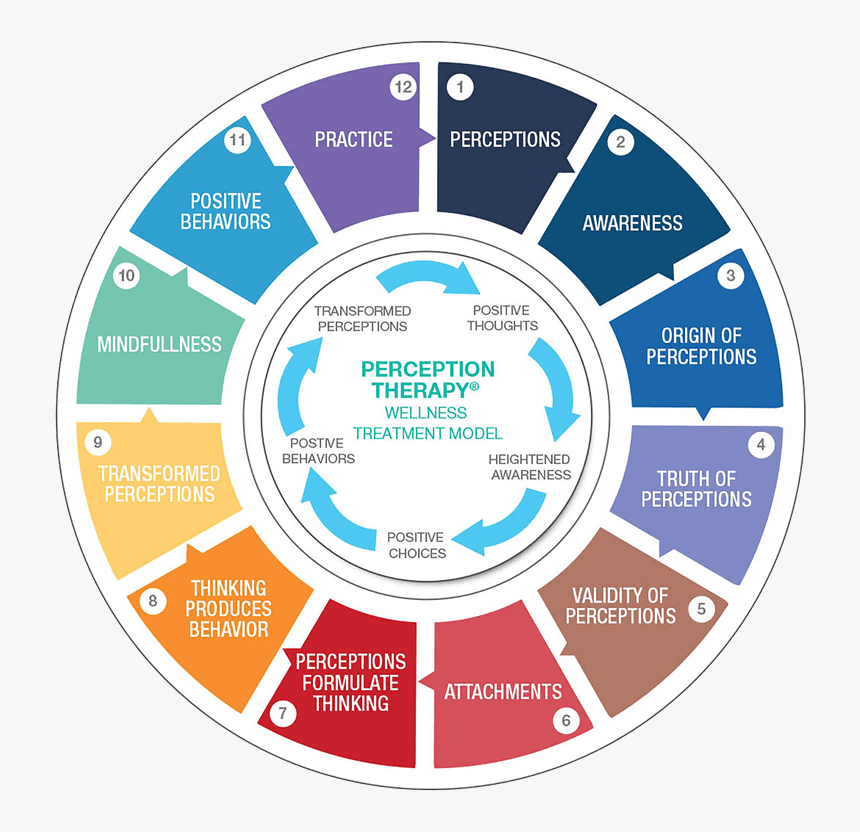 Perception Therapy Wellness Model Graphic - Loading Circle Png Transparent, Png Download, Free Download