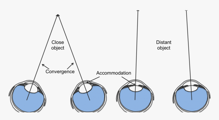 Depth Perception Eye, HD Png Download, Free Download