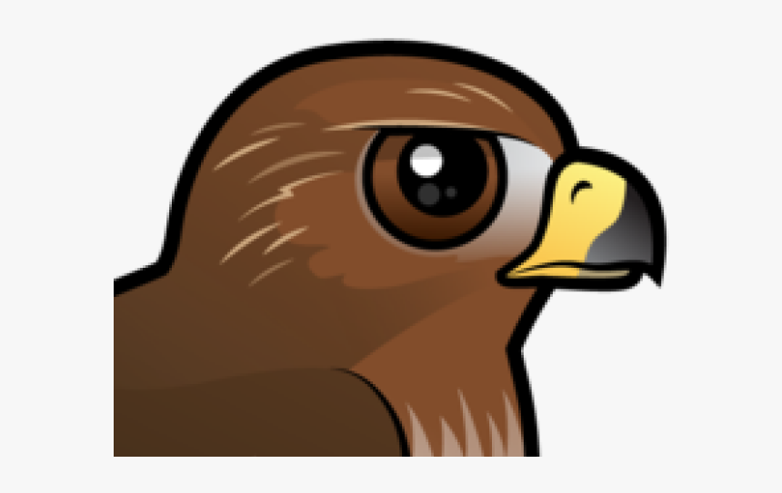 Red Tailed Hawk Clipart, HD Png Download, Free Download