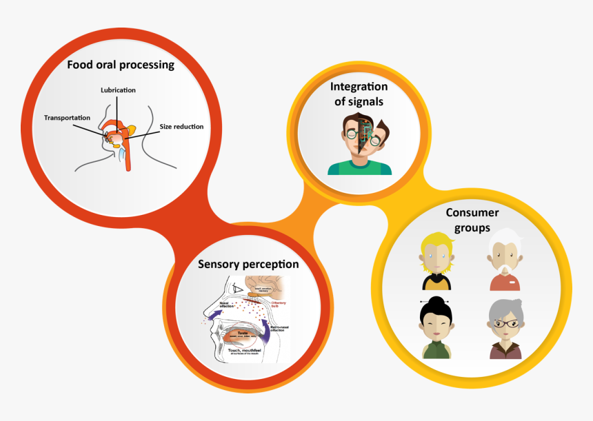 Sensory Perception Of Food, HD Png Download, Free Download