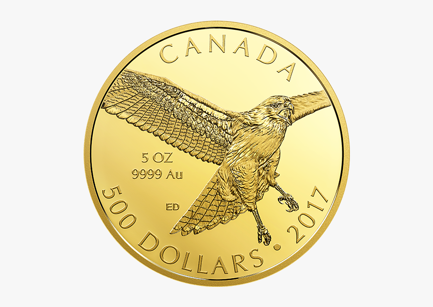 Coin, HD Png Download, Free Download