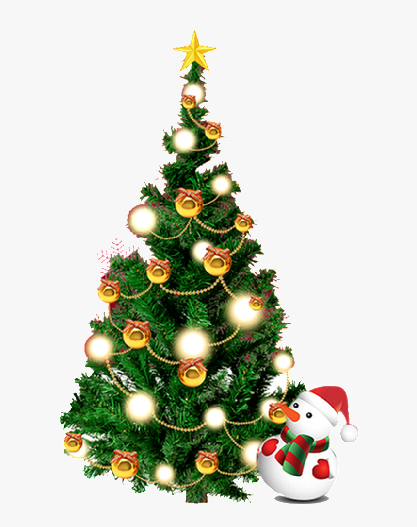 El Árbol De Navidad Y El Muñeco De Nieve Png Transparente - Christmas Tree In Papua New Guinea, Png Download, Free Download