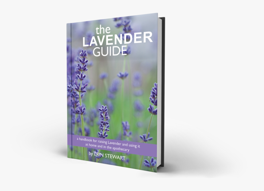 English Lavender, HD Png Download, Free Download