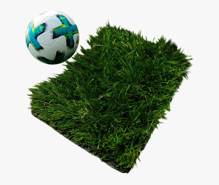 Portada Futbol - Lawn, HD Png Download, Free Download