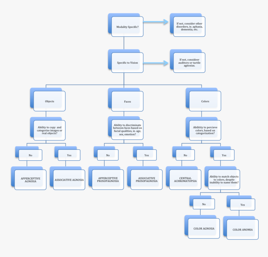 Flowchart For Assessment Of Visual Agnosias - Agnosia Chart, HD Png Download, Free Download