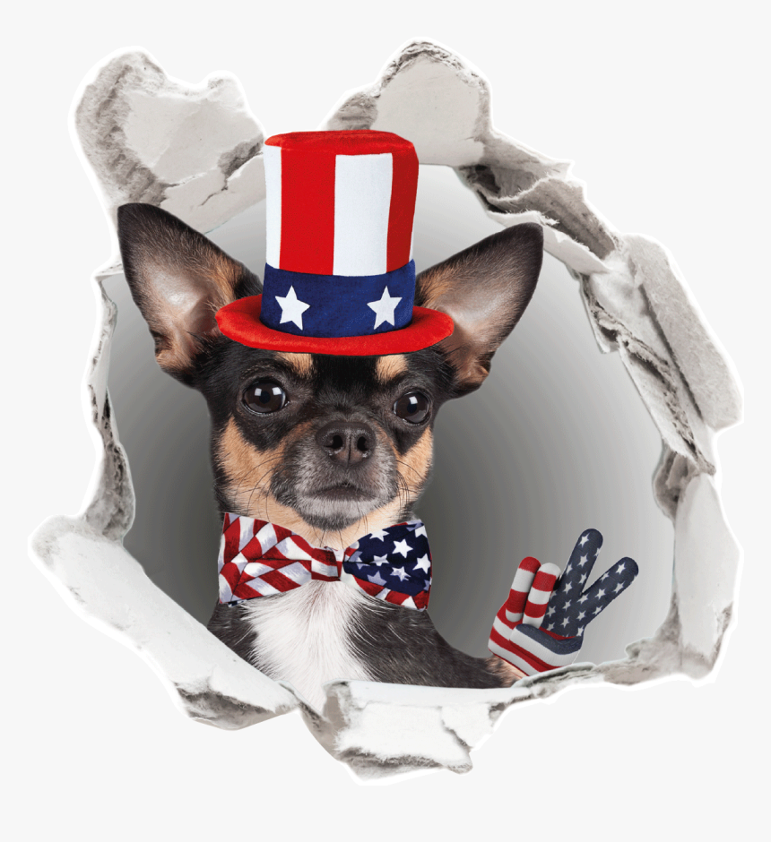 Chihuahua, HD Png Download, Free Download