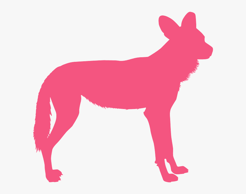 Dog, HD Png Download, Free Download