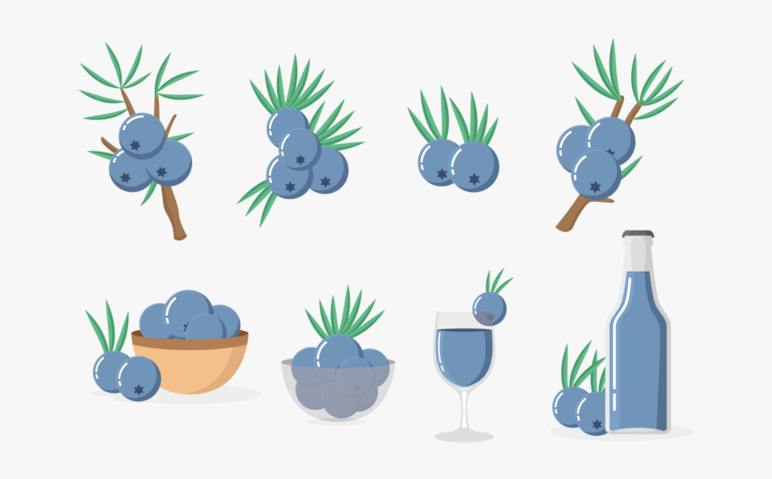 Juniper Iconos Vector - Icon, HD Png Download, Free Download