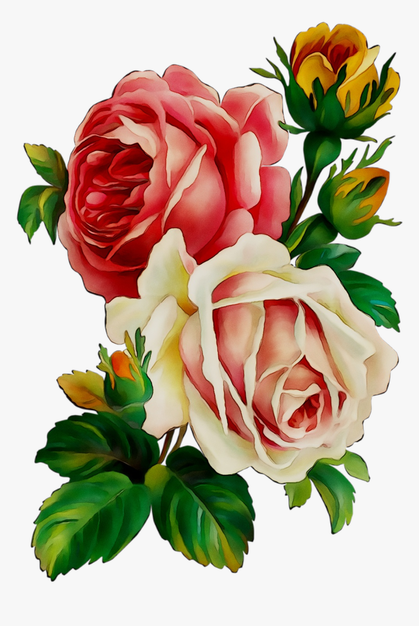 Flower Bouquet Cut Flowers Floral Design Vase - Rose Painting Transparent, HD Png Download, Free Download