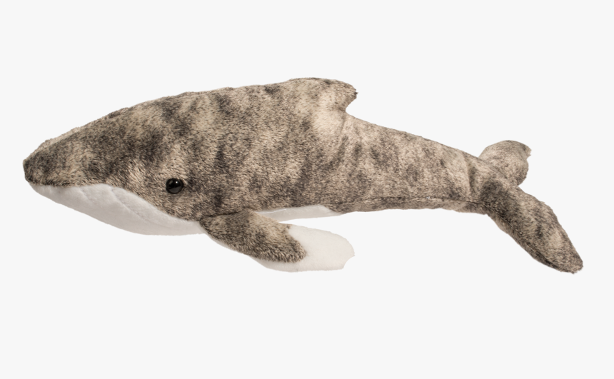 Whales Png, Transparent Png, Free Download