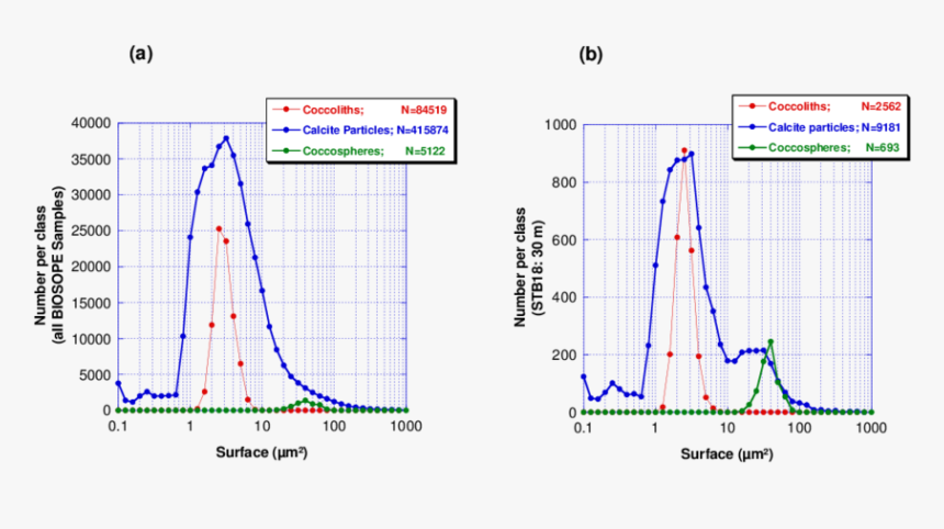Distribution Of Area Of Coccoliths , Coccospheres, HD Png Download, Free Download