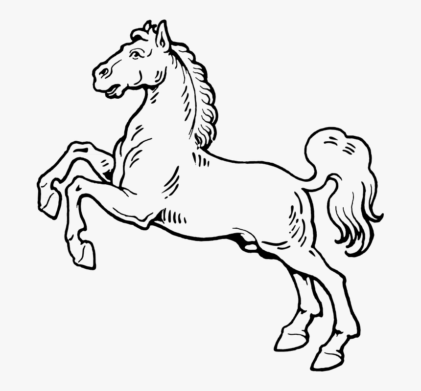 Horse In Black And White, HD Png Download, Free Download
