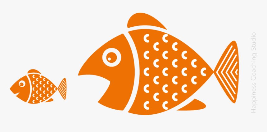 Peces, HD Png Download, Free Download
