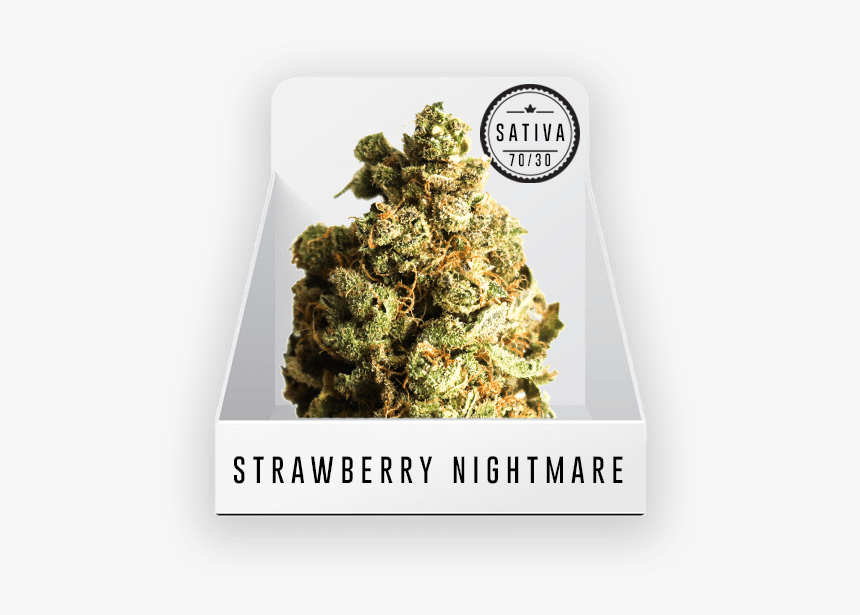 Strawberry Nightmare, HD Png Download, Free Download