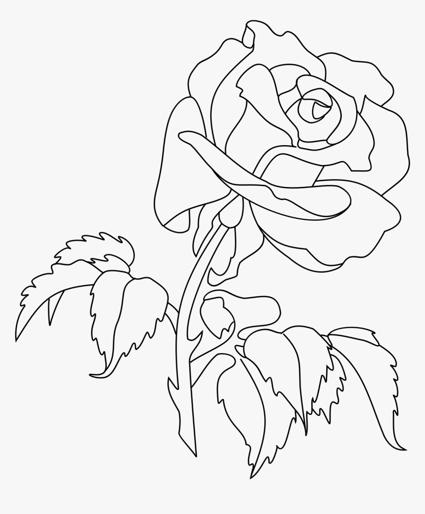 White Rose Clipart Trace - Rose Line Art, HD Png Download, Free Download
