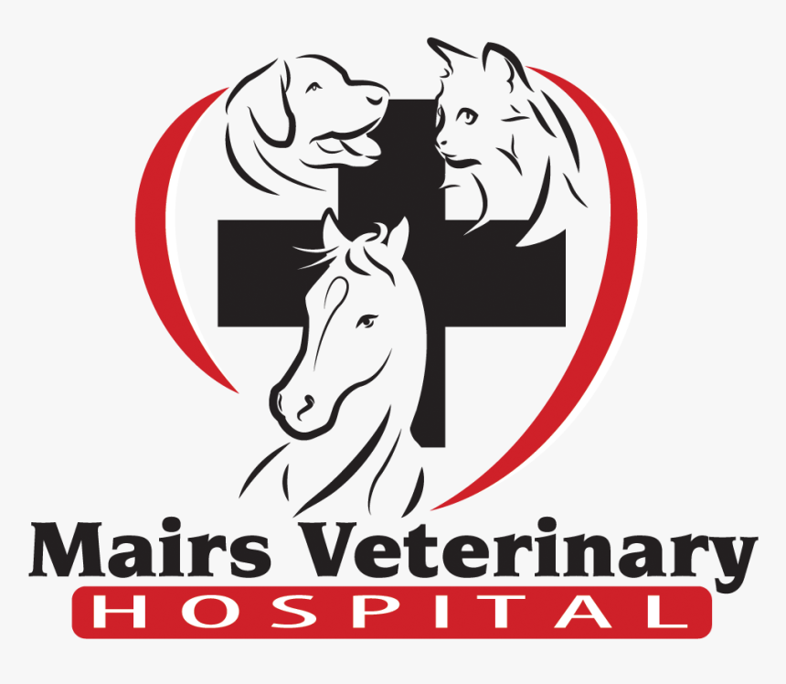 Mairs Veterinary Hospital - Stallion, HD Png Download, Free Download