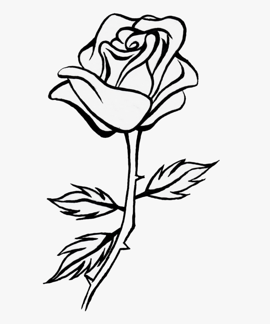 Hand Drawn Black Botanical Rose Flower And Leaf Clip Art Line Art ...
