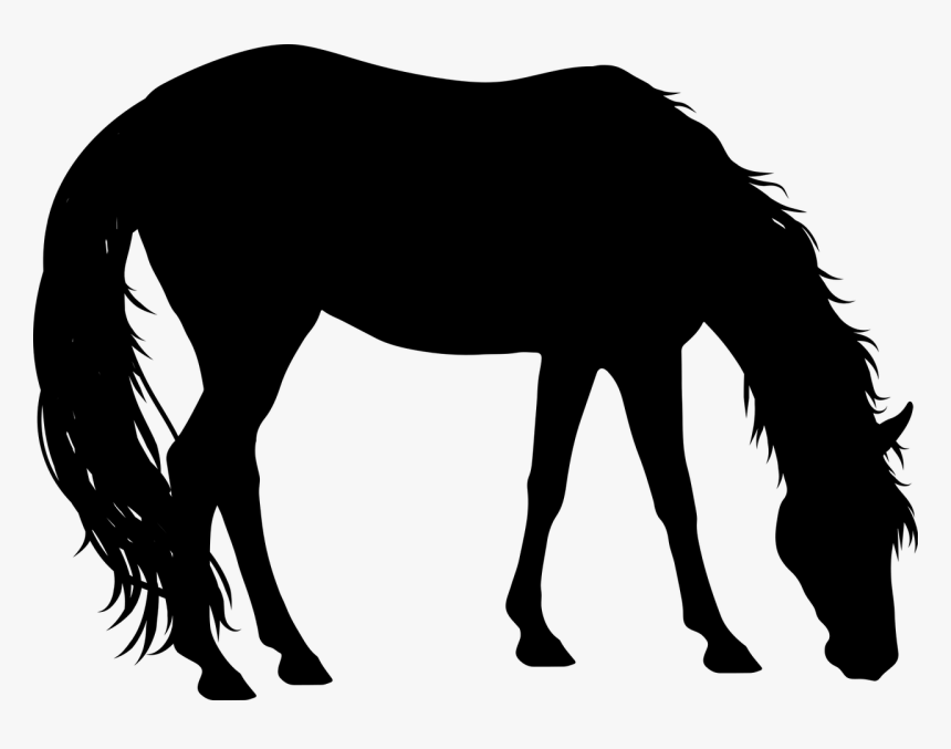 Free Horse Eating Grass Silhouette, HD Png Download, Free Download