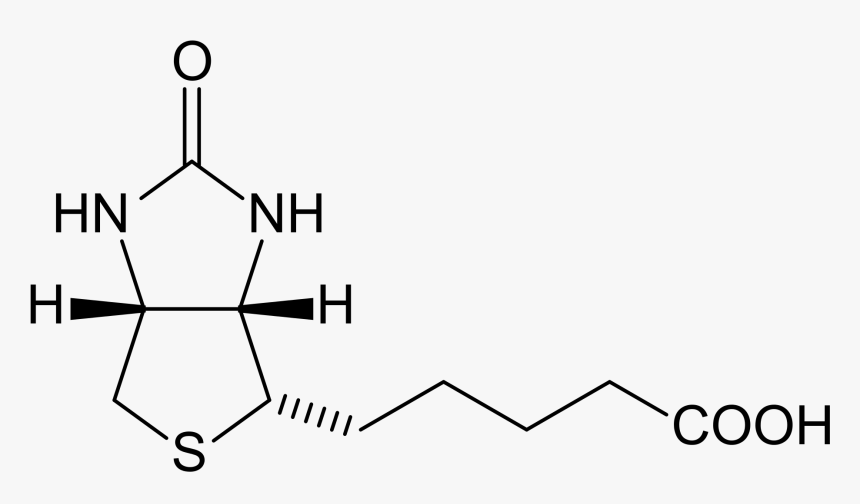 Biotin Structure, HD Png Download, Free Download