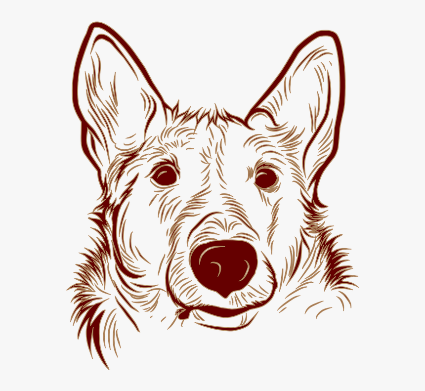 Old English Terrier, HD Png Download, Free Download
