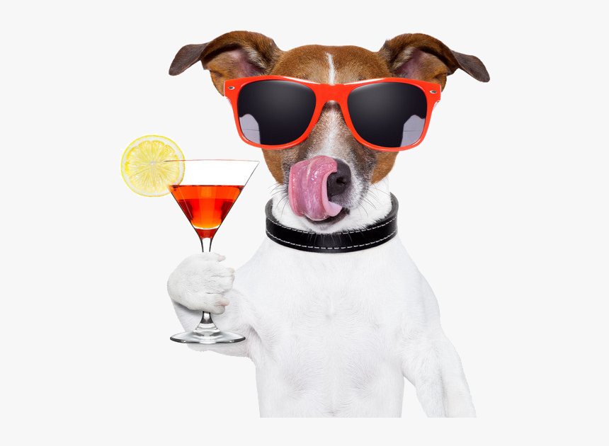 Sun Drink Dog Red Wine Png Free Photo Clipart - Dog With Sunglasses Transparent Background, Png Download, Free Download