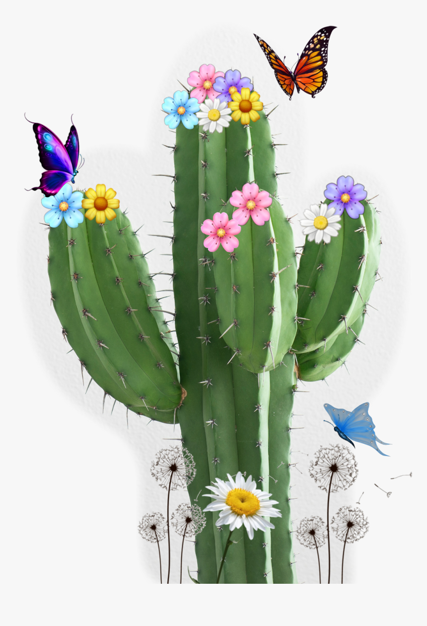 #cactus #flores #mariposas #pinchos - Cactus Jpg, HD Png Download, Free Download